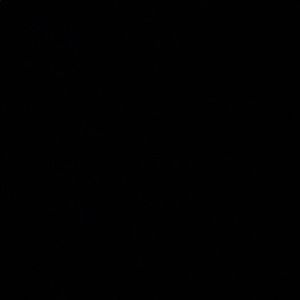 Meet your Posher, Miami